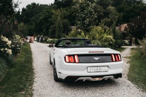 fotograf ślubny 2026